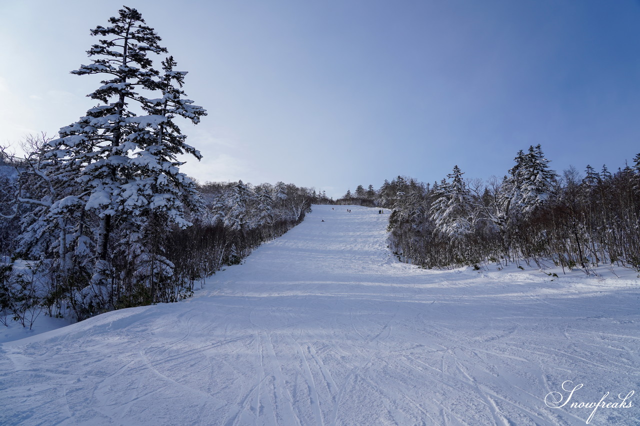 札幌国際スキー場 これぞ北海道。粉雪が降り積もったゲレンデはコンディション良好！そして、早くも全コース滑走可能です(*^^)v